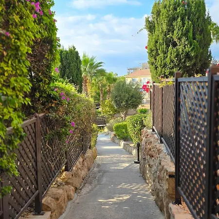 Css Comfy Smart Superior By King's Palace * Pafos