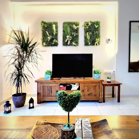 Css Comfy Smart Superior By King's Palace * Paphos