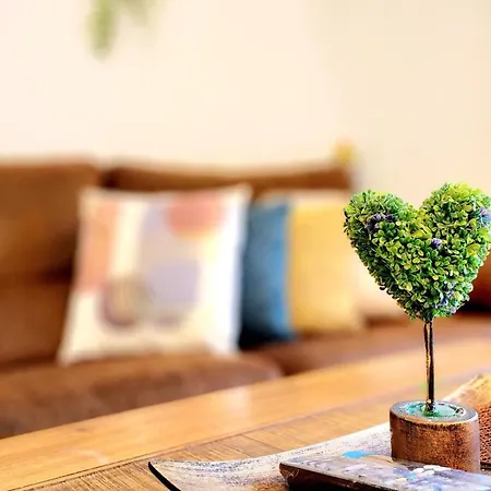 Css Comfy Smart Superior By King's Palace Пафос